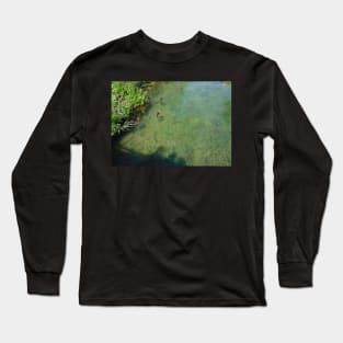 Ducks and Fish Swimming Together in a River Long Sleeve T-Shirt